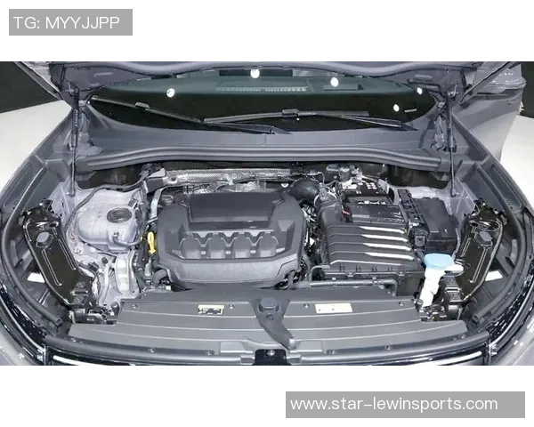 运动攀岩新手必读比赛经验分享与入门技巧全面指南